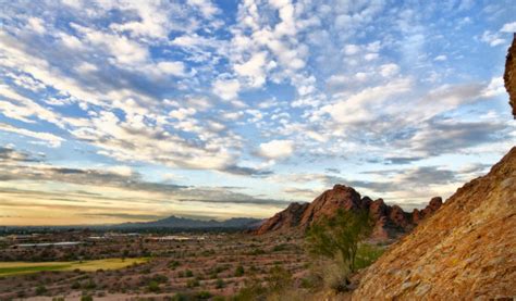 Desert Sunset Cactus Landscape Arizonausa — Stock Photo © Avfc 61665383