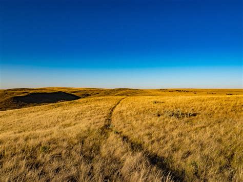 Mtb Trail Grasslands Mtb Trail National Park Saskatchewan Blog