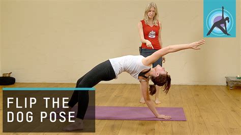 Flip Your Downward Dog Yoga With Esther Ekhart Youtube