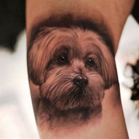 Maltese Tattoos Ideas Dog Tattoos Dog Portrait Tattoo Dog Memorial