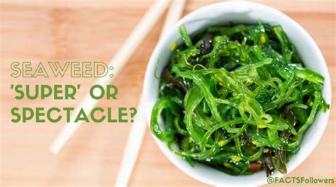 3 Things You May Not Know About Seaweed Superfood Or Spectacle
