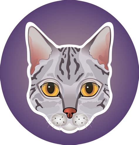 Gray Cat Icon Stock Vector Illustration Of Vector Cute 57190412