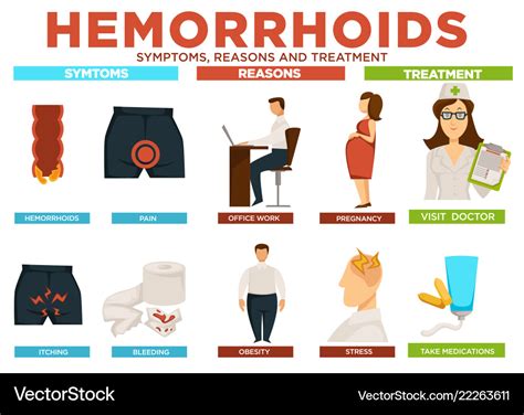 hemorrhoids symptoms reasons and treatment poster vector image