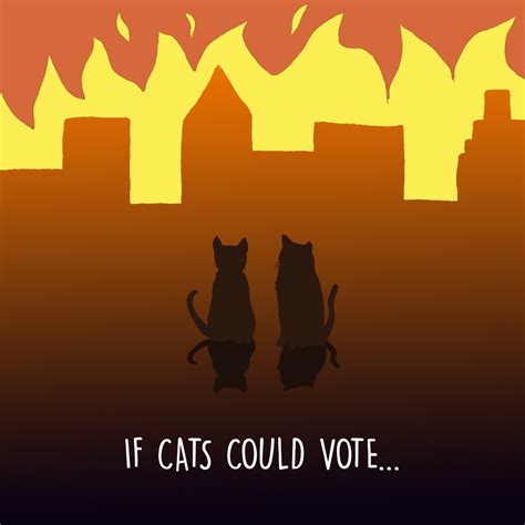 If Cats Could Vote Dichos De Un Bicho