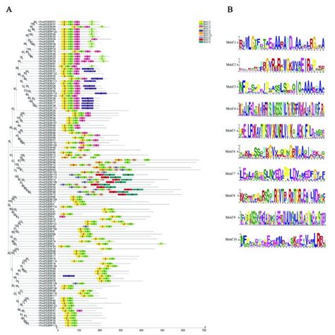 Multiple Sequence Alignment Of Ap2 Structural Domain Proteins From Each