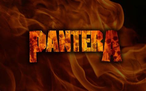 Wallpaper Pantera Pantera Metal Skull Heavy Wallpapers Thrash Dark
