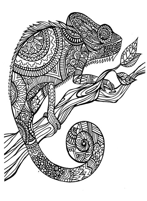 See more ideas about coloring pages, colouring pages, coloring books. Cameleon patterns | Animals - Coloring pages for adults ...