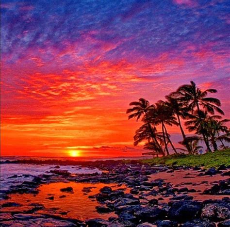 Pin By Paradise On Sunsets Beautiful Sunset Scenic Photography