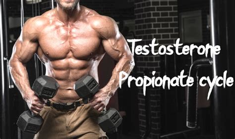 What Is Testosterone Propionate Cycle Dosage And Side Effects