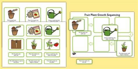 Plant Growth Sequencing Activity Plants Flowers Grow
