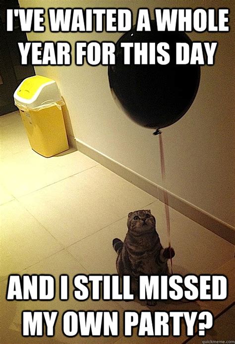 Sad Party Cat Meme Gwerh