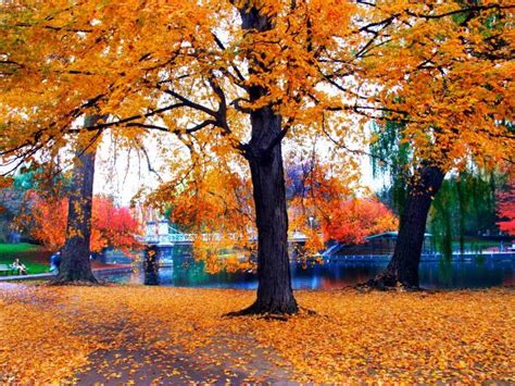 1 Day Fall Foliage Tour From Boston Taketours