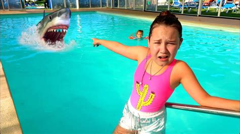 shark in swimming pool