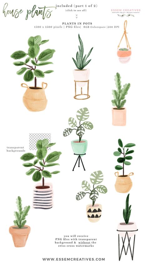 Browse our selection now to find your dream home! Watercolor House Plant Clip Art #Ad , #SPONSORED, # ...