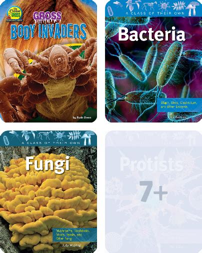 Microorganisms Childrens Book Collection Discover Epic Childrens