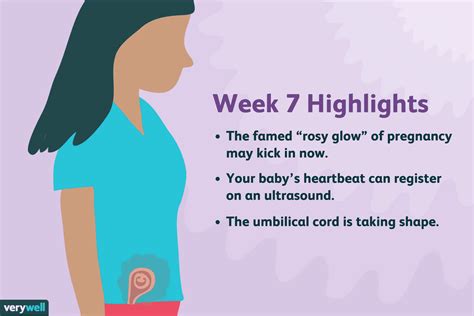 7 Weeks Pregnant Baby Development Symptoms And More