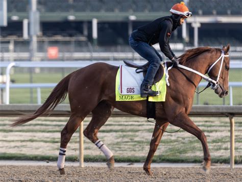Kentucky Derby Winner Mages Four Race Experience Could Be A Plus