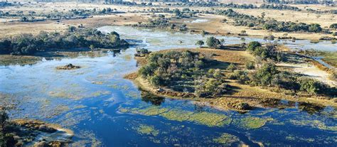 Check spelling or type a new query. Exclusive Travel Tips for Okavango Delta in Botswana