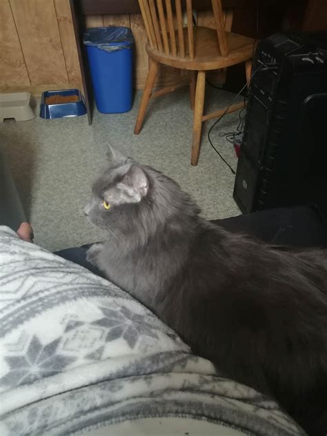 I brought her home yesterday, she hasn't left my side. : happy