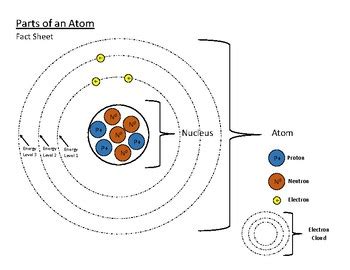 No two different elements will have the. Parts of an Atom Fact Sheet by Kayleigh Sullivan | TpT
