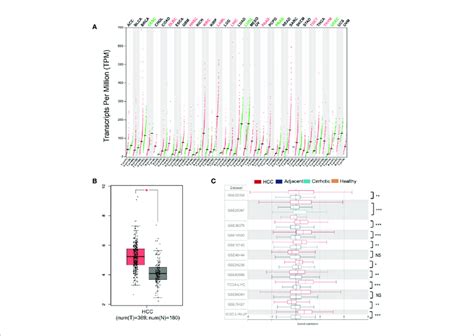 Plxnd1 Mrna Expression Is Elevated In Hepatocellular Carcinoma Hcc