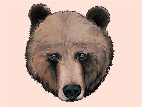 Cute Bear Faces Wallpapers Wallpaper Cave