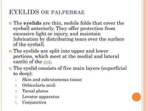 Solution Eyelids And Lacrimal Apparatus Studypool