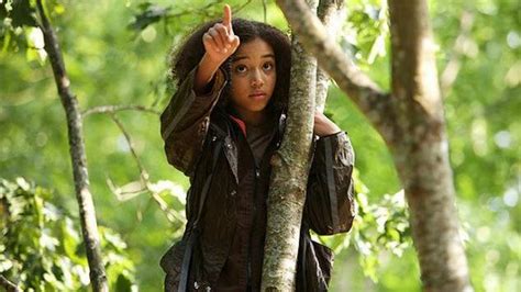 Hunger Games Actor Amandla Stenberg Says They Now Identify As Gay
