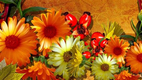 Free Fall Flowers Wallpaper