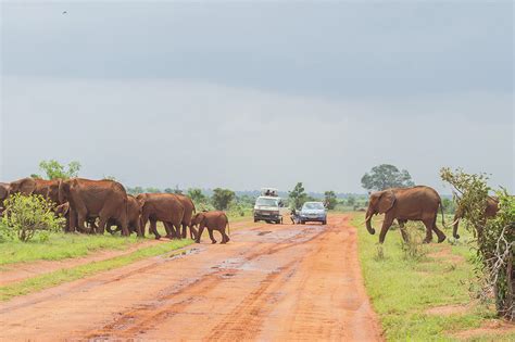 Tsavo East National Park Kenya National Parks And Game Reserves