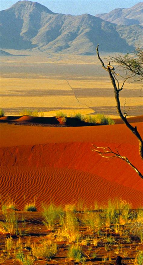 Desert Landscape Wallpapersc Iphone6splus