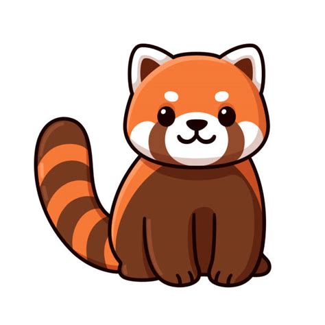 Red Panda Illustrations Royalty Free Vector Graphics And Clip Art Istock