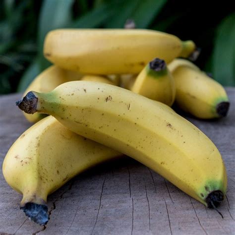Organic Bananas 1kg Heirloom Foods Organic Choice