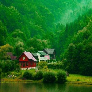 Whatsapp dp profile pictures download. 446+ Nature Profile Picture Images Wallpapers Pics for ...
