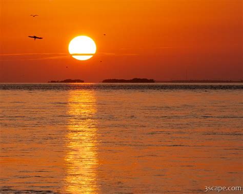 Florida Keys Sunset Photograph By Adam Romanowicz