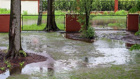 This system is especially recommended if you have a basement, as it is highly instrumental in keeping the ground free from water accumulation. 6 tips to remedy a flooded yard or garden - Chicago Tribune