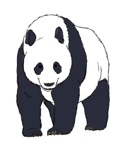 How To Draw Realistic Panda Bears Via Drawings