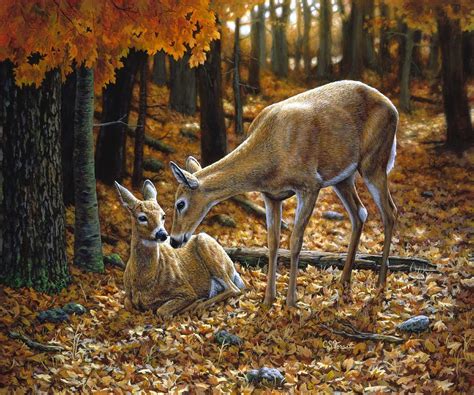 Whitetail Deer Autumn Innocence 2 Painting By Crista Forest