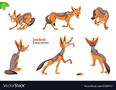 Jackal Cartoon Character Set Royalty Free Vector Image