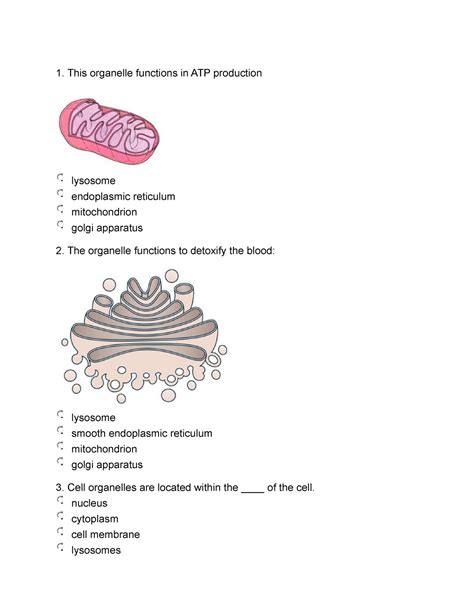 Anatomy And Physiology I Exam I Chapters 1 2 3 4 Practice Questions