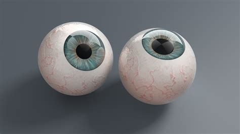 Eyeball Two Human Eyes 3d Model Cgtrader