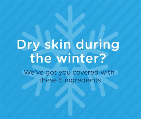5 Ingredients To Combat Dry Winter Skin Skin Wellness Dermatology