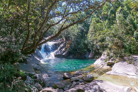 spotlight on the best swimming holes in wonderful cairns fhd