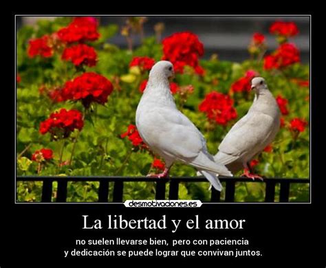 Top 150 Imagenes De Libertad En El Amor Theplanetcomicsmx