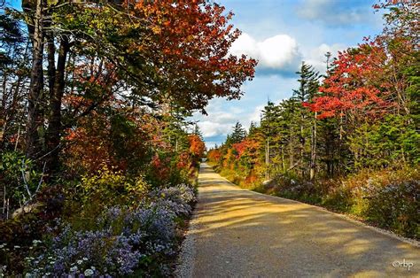 Country Road Dolly Sods Wilderness West Virginia By Rick Burgess