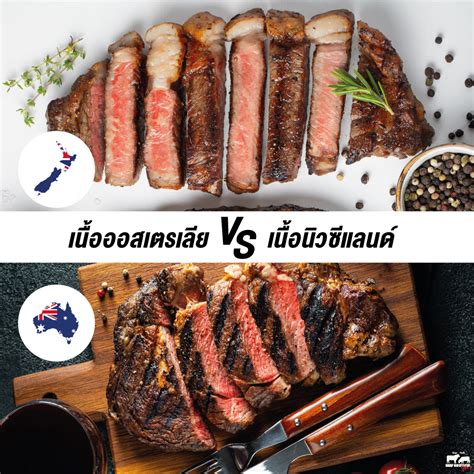 Beef Brother | ออสเตรเลีย Vs นิวซีแลนด์ เนื้อแตกต่างอย่างไร! - Beefbrotherth