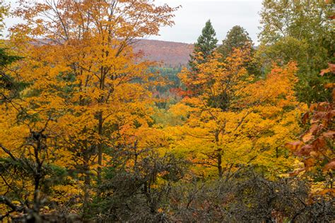 14 Best Places To Experience Fall In Minnesota Midwest Explored