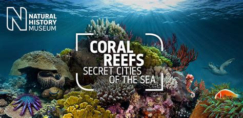 All About London Natural History Museum Coral Reefs Secret Cities