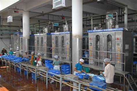 Milk Processing Plant Capacity 1000lph At Rs 150000 Unit In Yamuna
