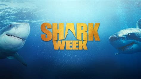 Shark Week 2023 How Can I Watch Discoverys Annual Programming Block